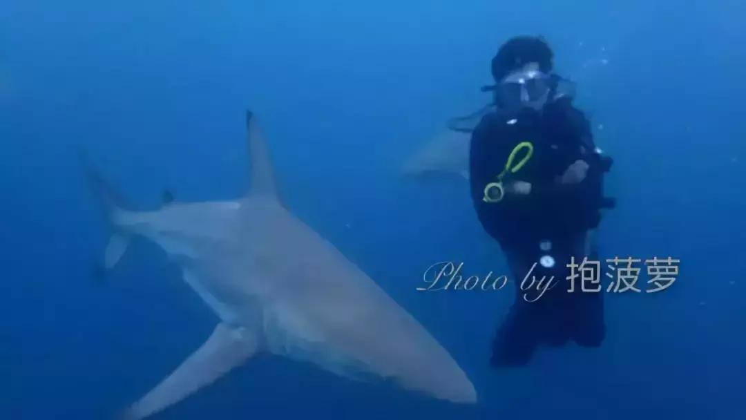 在菲律宾买房赚钱吗,在菲律宾买房出租划算吗