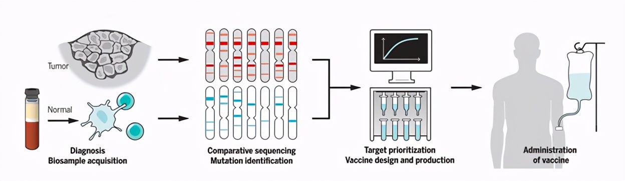 我们打的新冠疫苗是mrna疫苗吗,新冠灭活疫苗和mrna科普