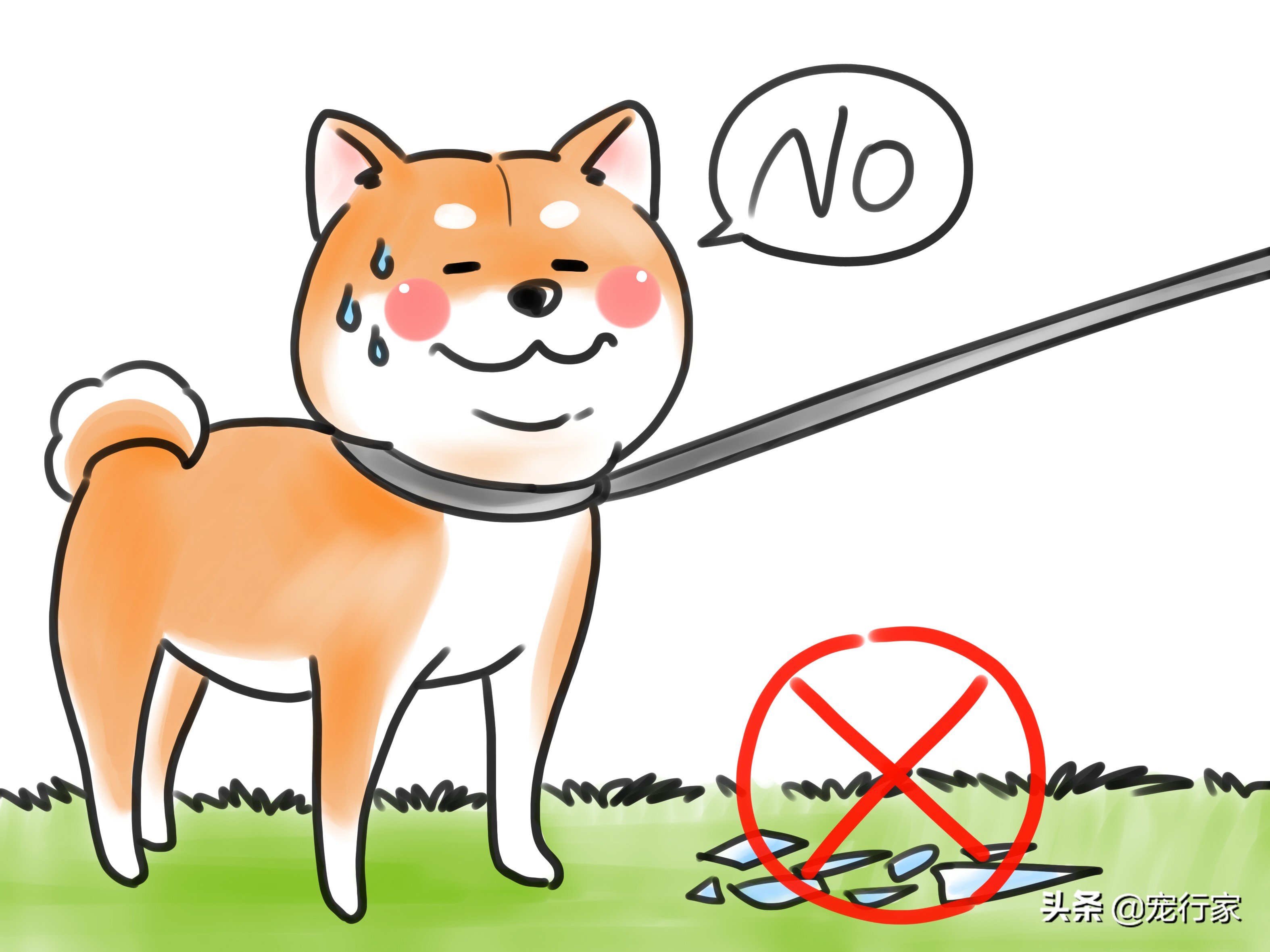 狗狗爪子出血抹什么药膏,狗狗爪子缝里发红怎么办