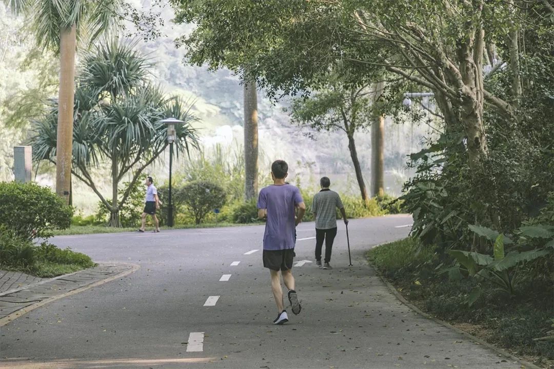 深圳周边自驾游一日游景点推荐,深圳30人报团一日游有什么景点
