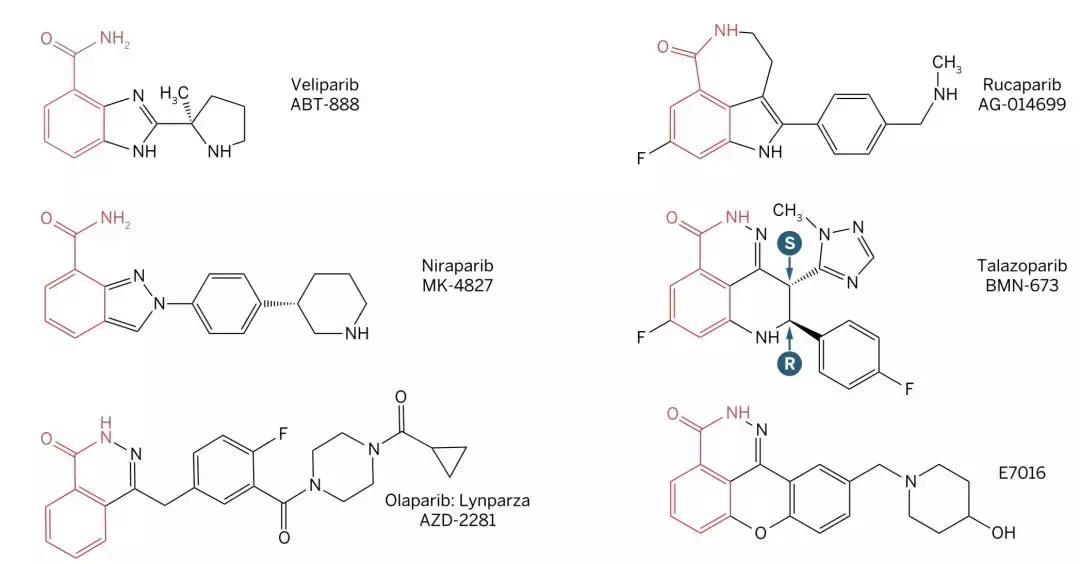 科学家找到了癌细胞的软肋，给了它致命的最后一击！
