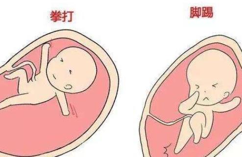 怀孕妈妈一醒宝宝也马上醒,怀孕了睡觉肚子一直动