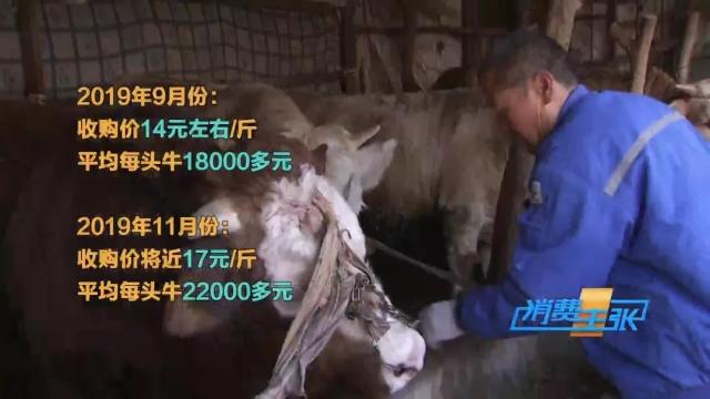 牛肉批发价最新价格,牛肉价格补贴最新消息