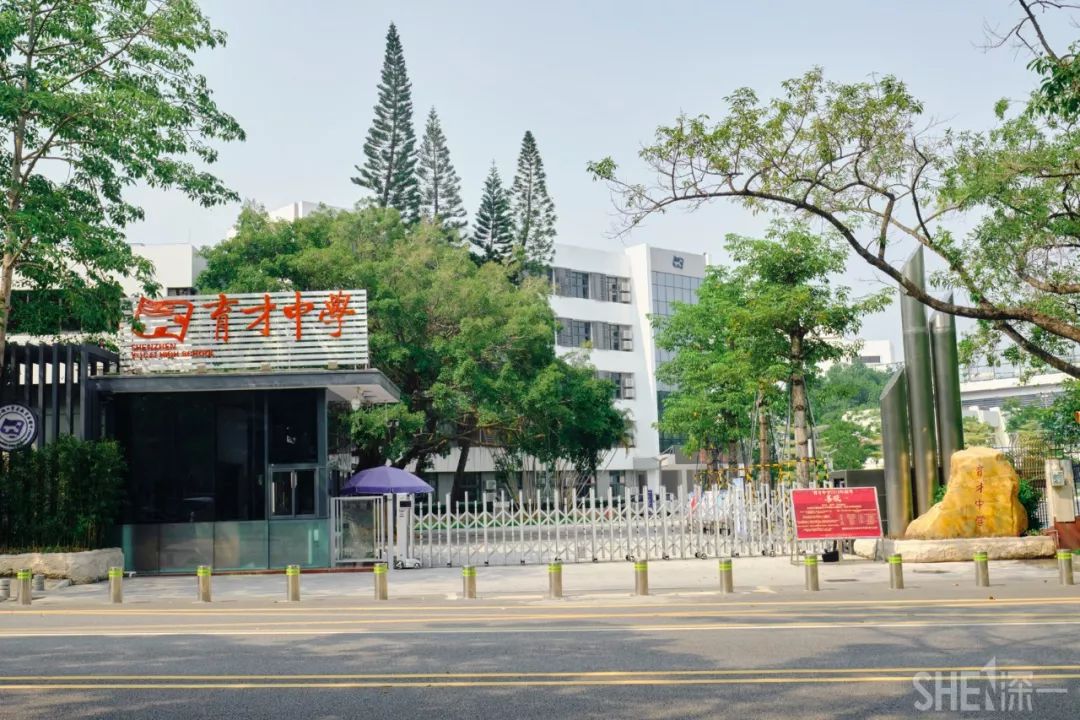 现在的蛇口,南头蛇口