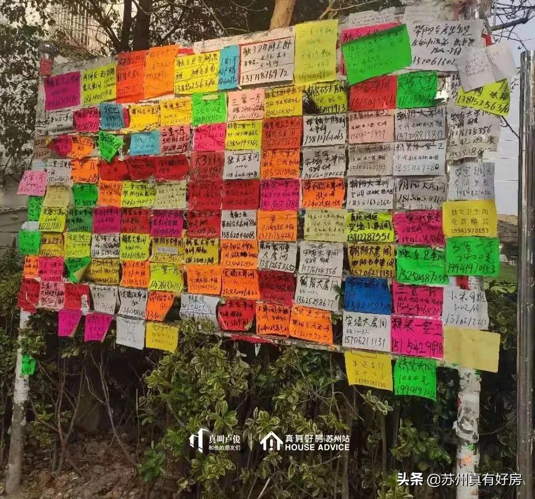 涓轰粈涔堜拱鑻忓窞鍥尯,鑻忓窞鍥尯鍊煎緱涔板悧