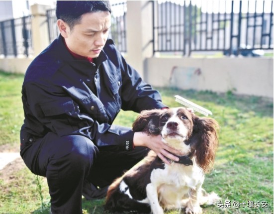 警犬跑步训练,警犬都配跑步机