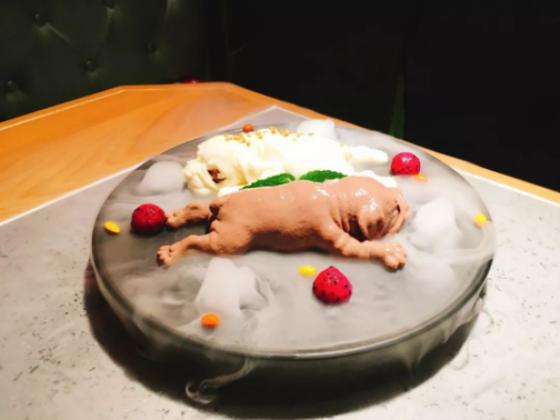 哈尔滨哈西美蛙,美蛙鱼头哈西万达