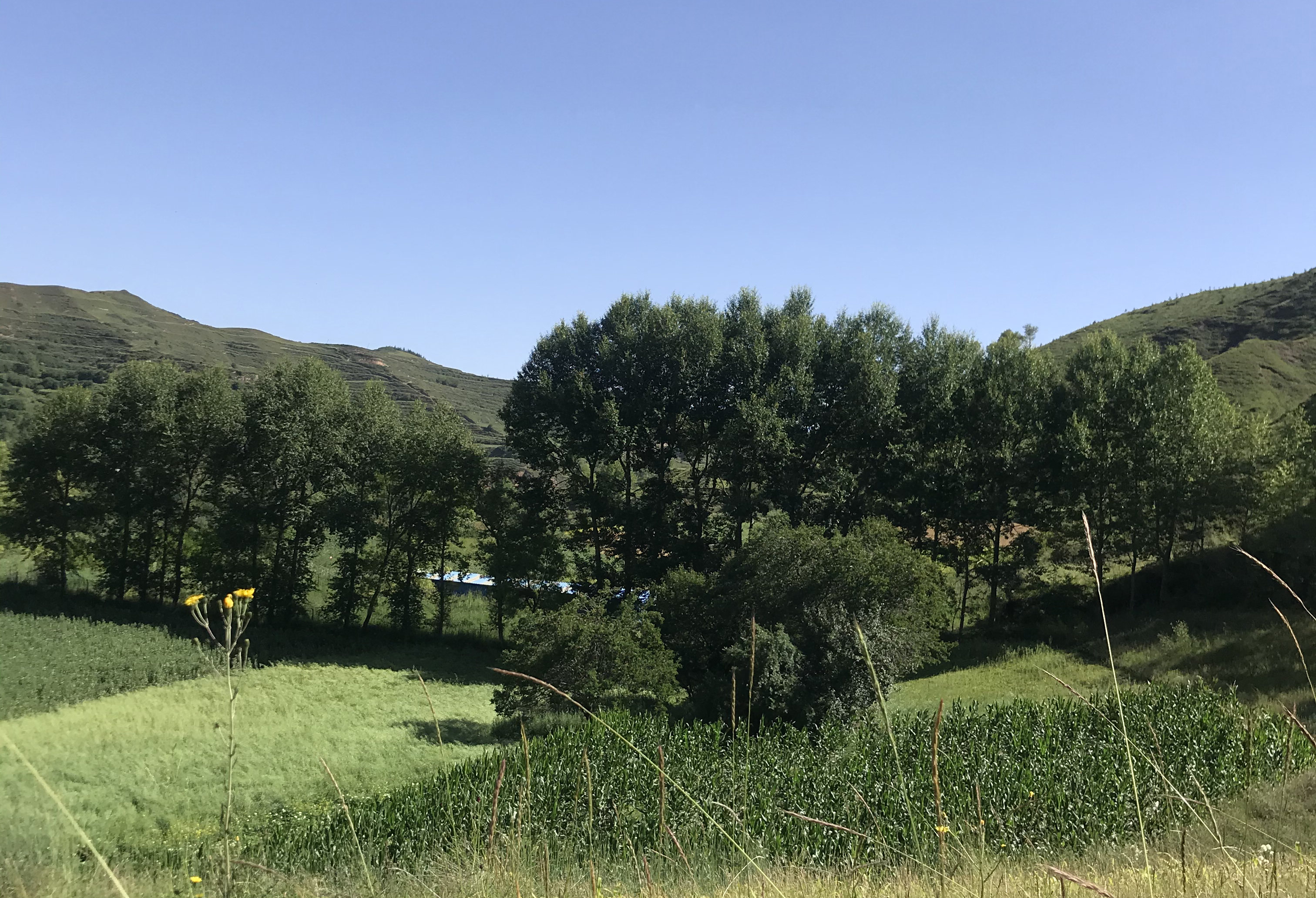 甘肃省渭源县在哪个省哪个市,甘肃渭源县在哪个市