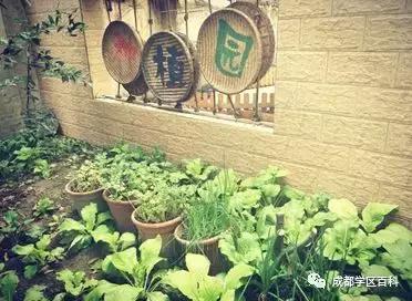 成都学区在线分析,成华十区