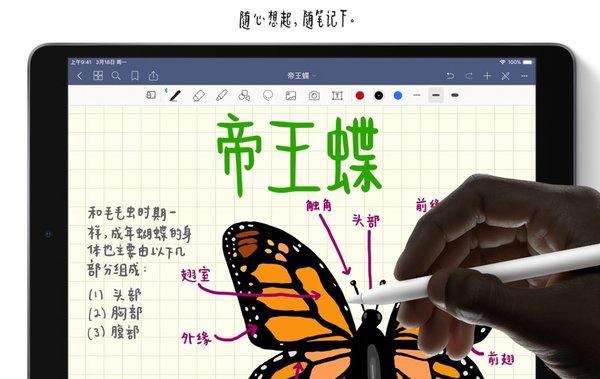 苹果入门级ipad,苹果入门级ipadmini7