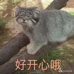 二十年春雨,春雨十年小说