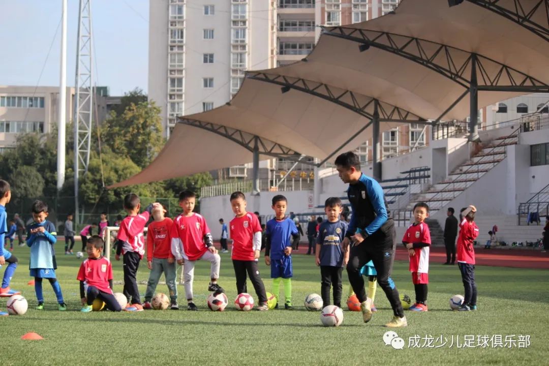 教练需要什么学历,教练具备的技能