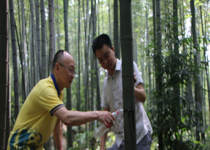 红极一时竹筒酒突然消声,最知名真正的竹筒酒