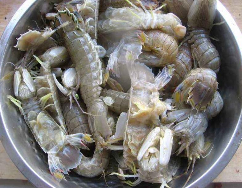 买皮皮虾别只傻傻挑大的！水产老板：看这3处，再也不怕“空壳”