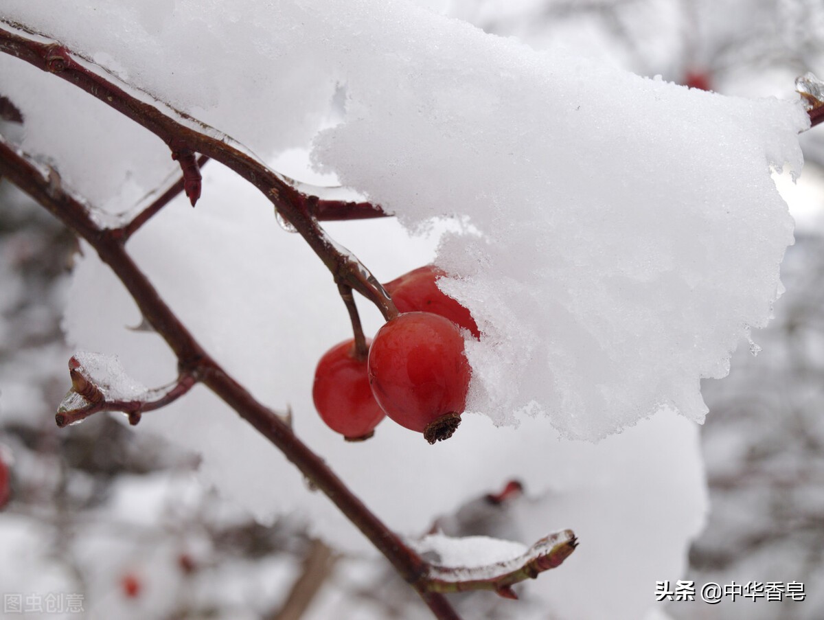 万福金安皂，在清透雪天里，精油香似满天繁星，悠闲地流洒下来