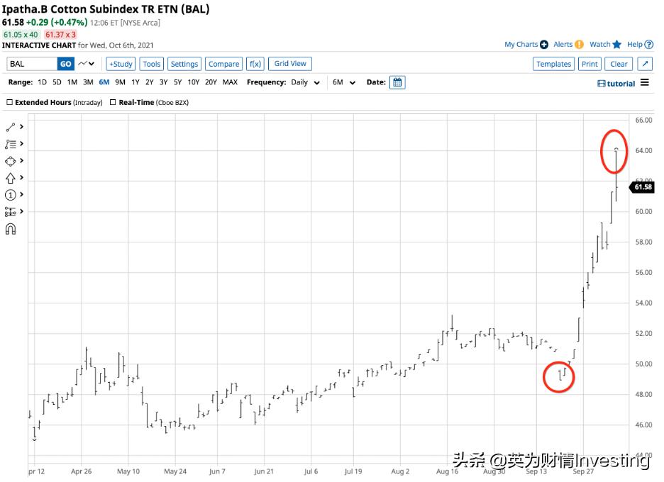 美国2号棉花期货价格对标郑棉,美国棉花期货涨停
