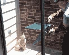 最新防割韭菜套路骗局揭秘,揭秘骗子那些割韭菜套路