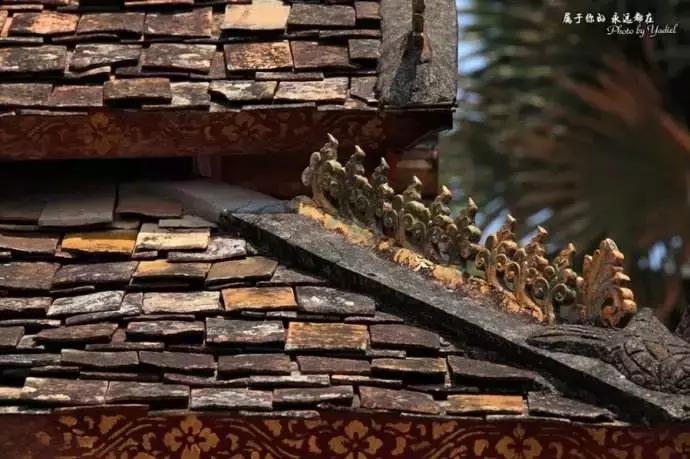 谁才是真正的皇家贡茶,皇家贡茶有多厉害