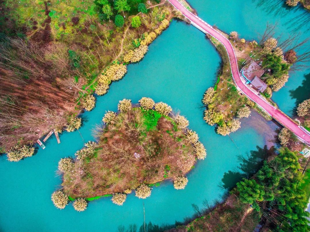 成都绿道被隔开,成都被3条路包围的楼盘