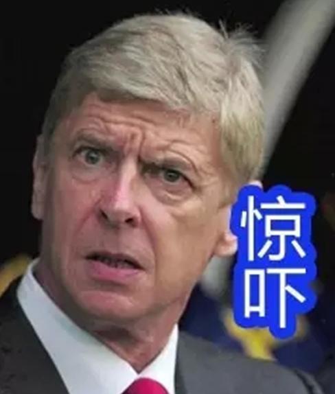 厄齐尔会造成什么损失,厄齐尔付出了什么代价