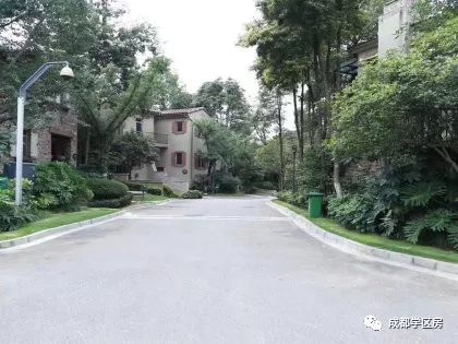 华侨城小学配套什么中学,华侨城对口小学