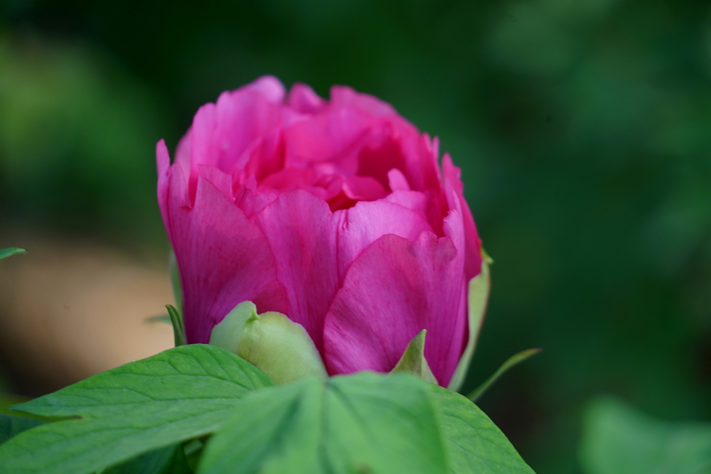 c调口琴太湖美,口琴c调太湖美