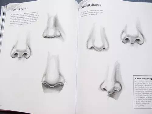 美术速写鼻子教学,美术绘画鼻子教学