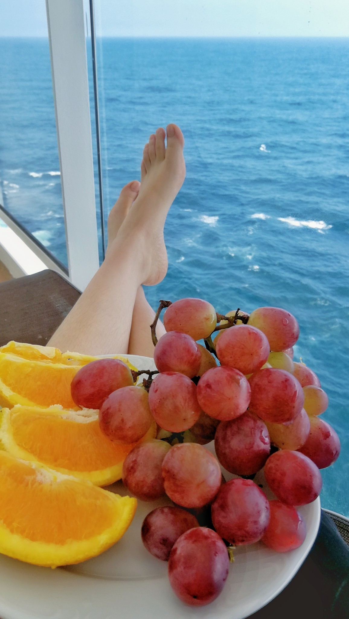 邮轮像海上养猪场,海上养猪场不负盛名