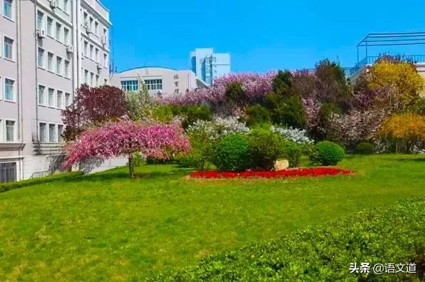 大连最好中学排名,大连入选全国500强的高中