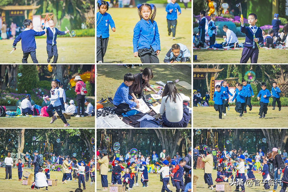 先有苏铁王后有南宁城，它是恐龙的美食植物界活化石，堪称国宝