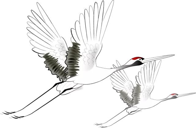 梦起远华，心向远方——我校举行2020秋季学生表彰大会