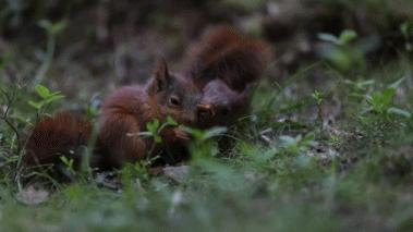 葬礼当天，她成为了四个孩子的“后妈”，网友：这是童话故事吧