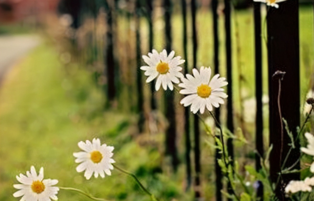 自律的人都戒掉九件事,自律的人必须戒掉哪些事