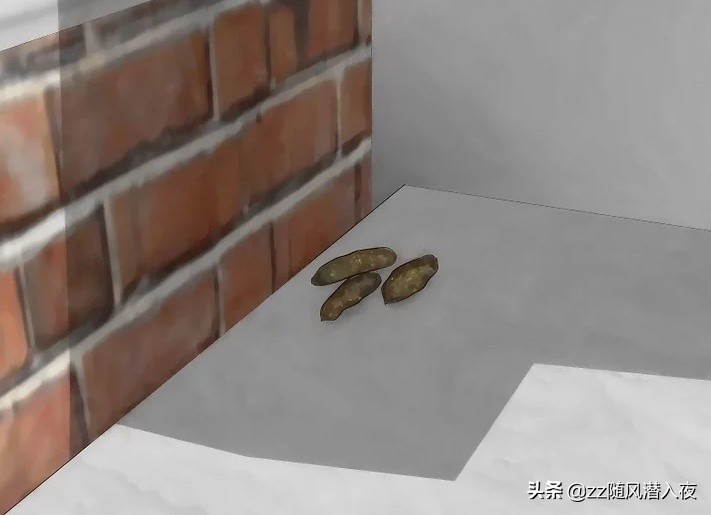 驱逐老鼠最好的办法,怎么样驱逐家里的老鼠