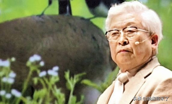 韩国世越号为什么学生不弃船,中国救援韩国船世越号发现了什么