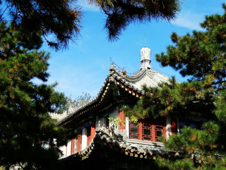 漫步北大校园,北大印象图片