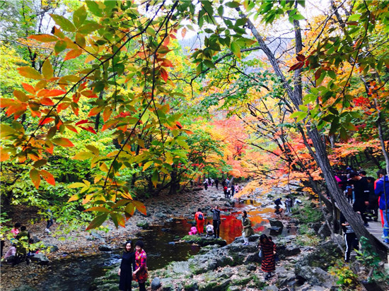 老年旅游团跑路,旅行社规避老年人风险