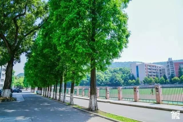 母校我想你,想你母校