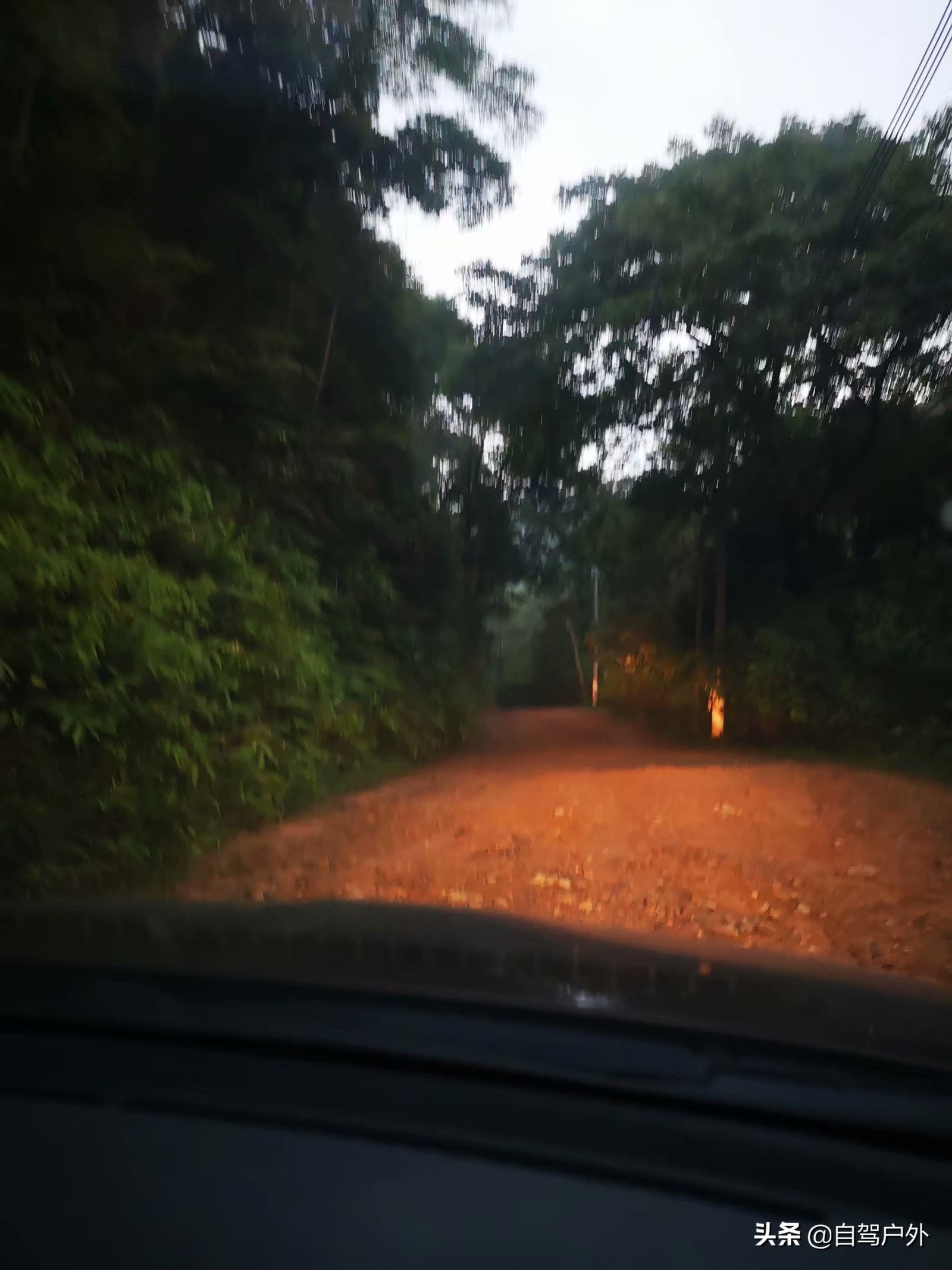 惠州明月山庄露营,罗浮山休闲竹林露营地