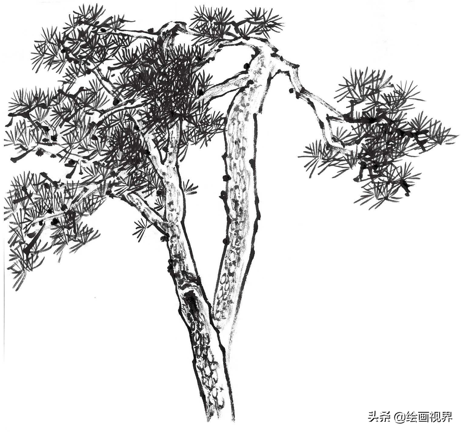 国画双钩树的画法入门,国画杂树与山石的画法图片