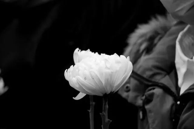 抗疫防疫专题,疫情专题整理