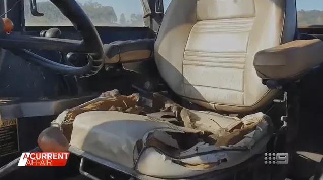 澳大利亚鼠灾事件视频,澳大利亚鼠灾真实事件