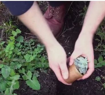 社创案例|变身环保塑料：小龙虾壳的“善终”