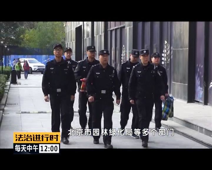 严厉打击非法捕猎候鸟,内蒙大兴安岭非法捕猎候鸟