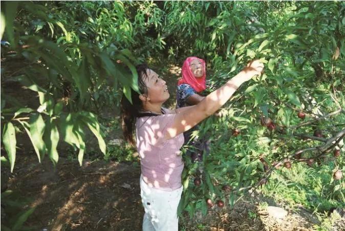 如皋市国家级开发园区,高质量发展在如皋