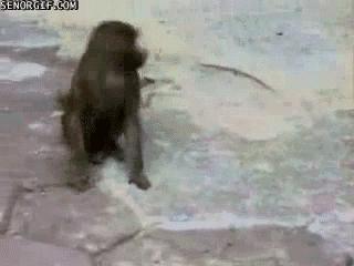 最新防割韭菜套路骗局揭秘,揭秘骗子那些割韭菜套路