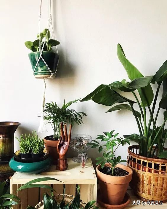 怎样弄一个简单的花园,如何在家打造一个花园