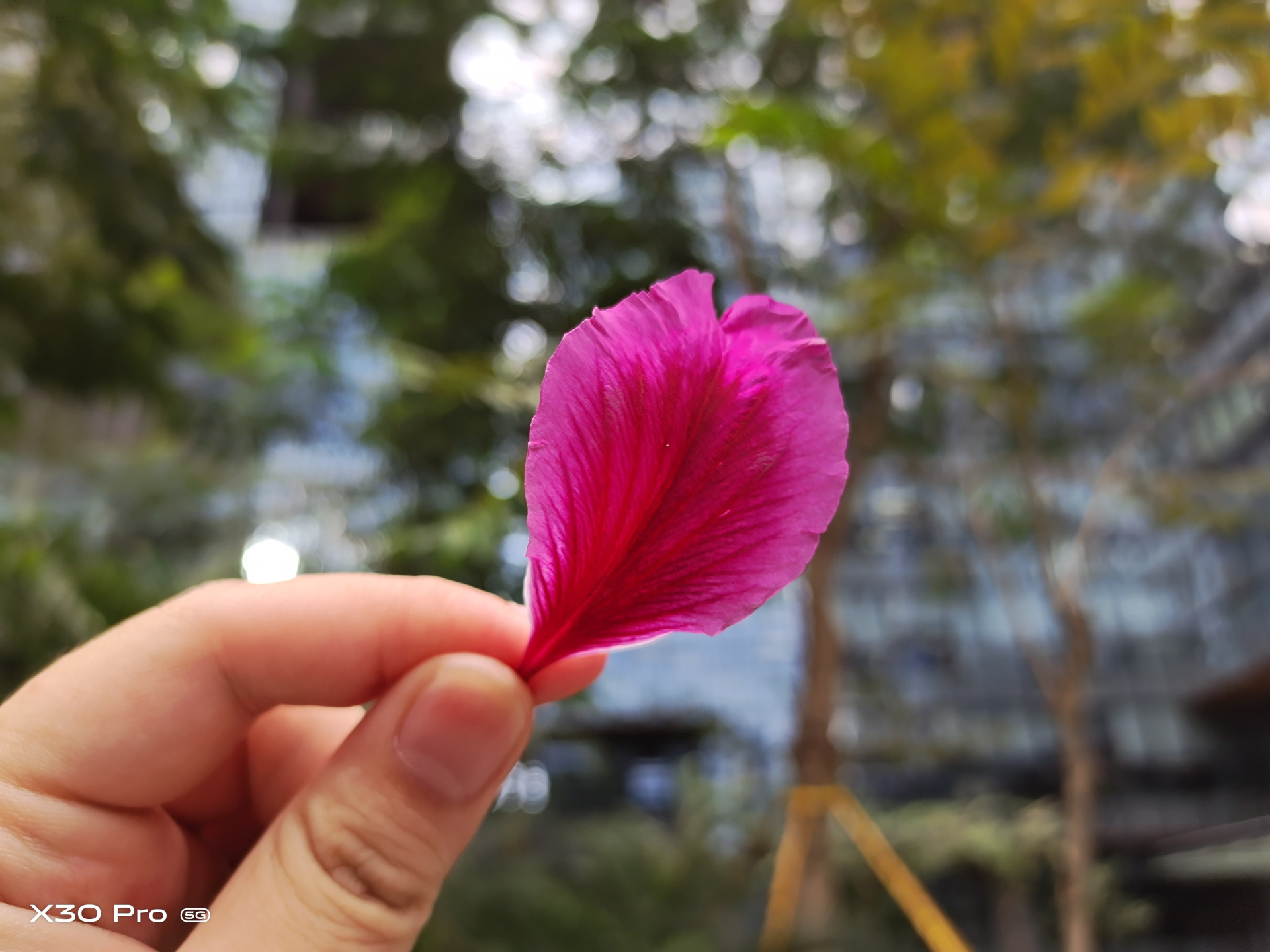 vivox30pro搭载三星5g芯片980,vivox30pro是第一款5g手机