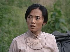 谍战片潜伏系列深度解析,评价潜伏的谍战剧