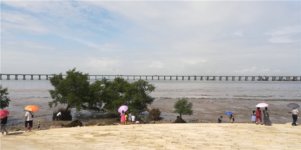 深圳宝安固戍高档写字楼,深圳宝安固戍附近写字楼